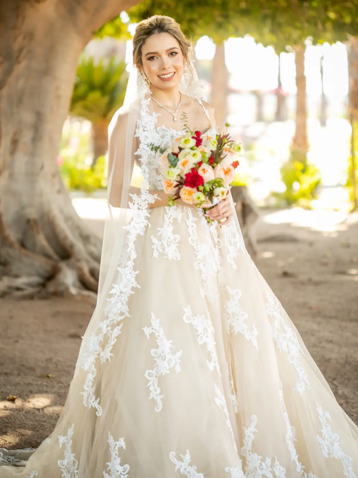 Belle Novia