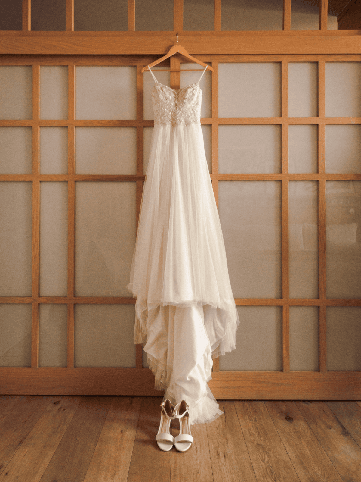 Sophia Tolli